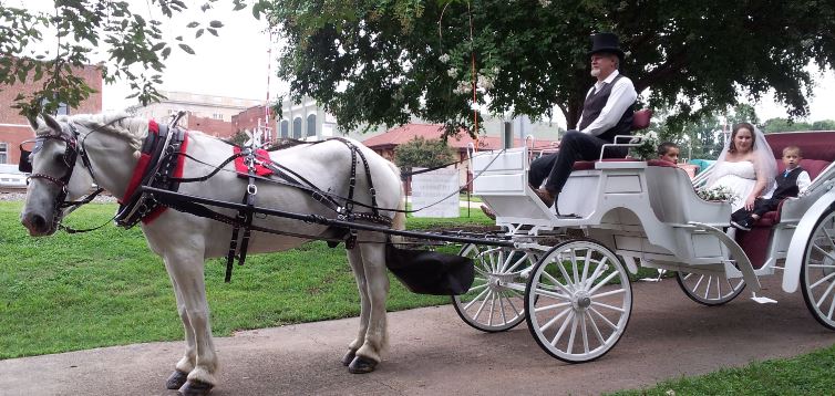 Belmont nc Wedding carriage