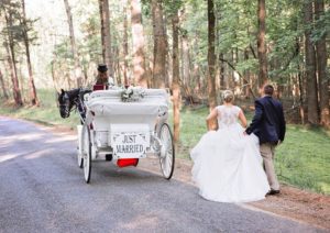Just Married with a Grand horse drawn exit