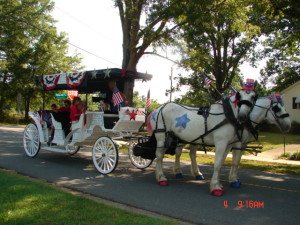 Horse and carriage for special events
